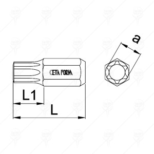BIT CAPETE CHEIE TUBULARA T30 x 75 MM;