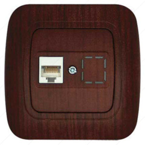 DATA SOCKET CHERRY GOKKU