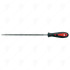 ROUND RASP WITH HANDLE CF