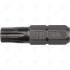 TORX PLUS BIT