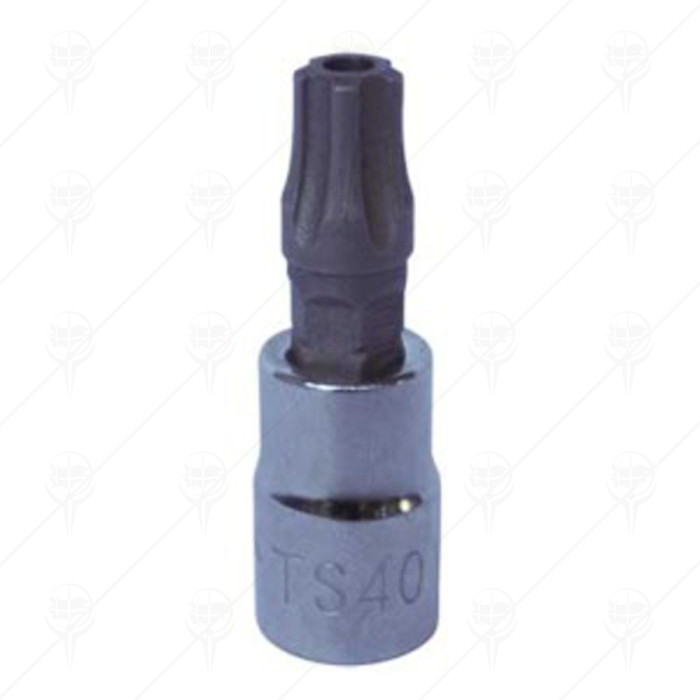 1/4 DRIVE TORX SOCKET BIT T30 1/4 DRIVE TORX SOCKET BIT T30