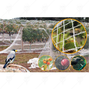 Anti Bird net 20*20mm hole 17 gsm white colar Anti Bird net 20*20mm hole 17 gsm white colar