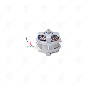 MOTOR FOR ELECTRIC LAWN MOWER ZF
1200W PREMIUM
