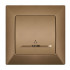 ILLUMINATED CONTROL SWITCH GOLD
ANURA