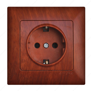 EARTHED SOCKET WOOD ANURA EARTHED SOCKET WOOD ANURA