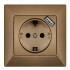 EARTHED SOCKET +USB GOLD ANURA