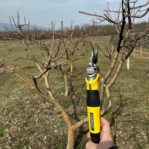 ELECTRIC PRUNING SHEARS 36V 5.2Ah BRUSHLESS RTRMAX
