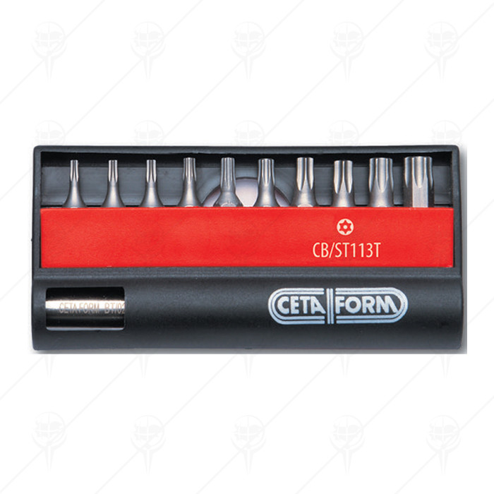 11 PIECE PROFESSIONAL BITS SET CF