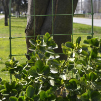 SUPPORT FOR PLANTS H90 HERLY