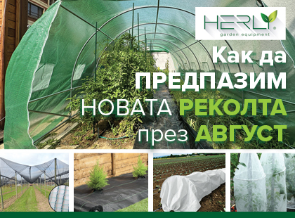Как да предпазим новата реколта през август: Защита и малко любов Как да предпазим новата реколта през август: Защита и малко любов