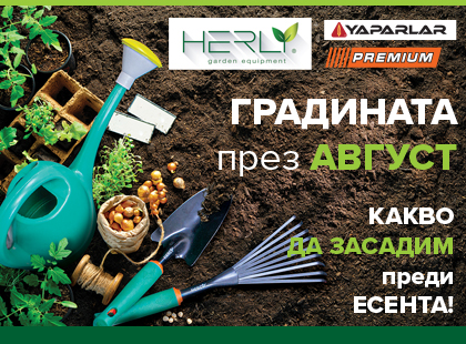 Август: Подготовка за есента – какво да засадим преди есента? Август: Подготовка за есента – какво да засадим преди есента?