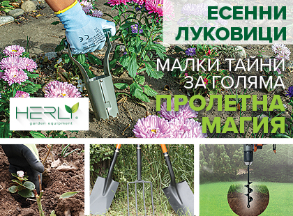 Есенни луковици – малки тайни за голяма пролетна магия