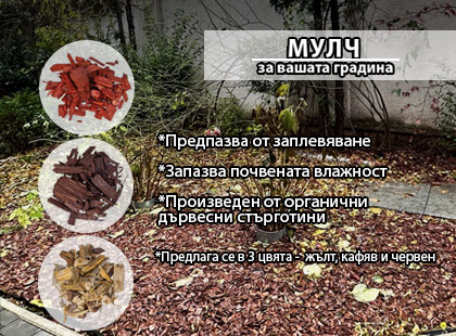 Защо да използваме мулч и какво е мулчиране Защо да използваме мулч и какво е мулчиране