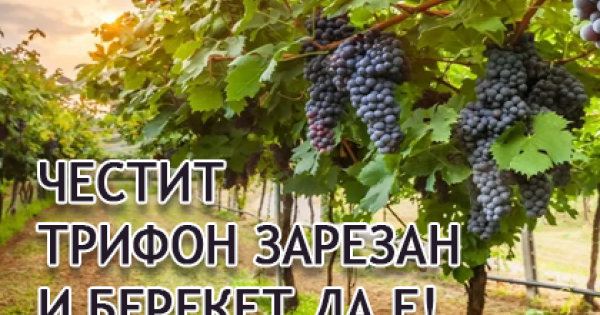 Честит Трифон Зарезан и берекет да е!