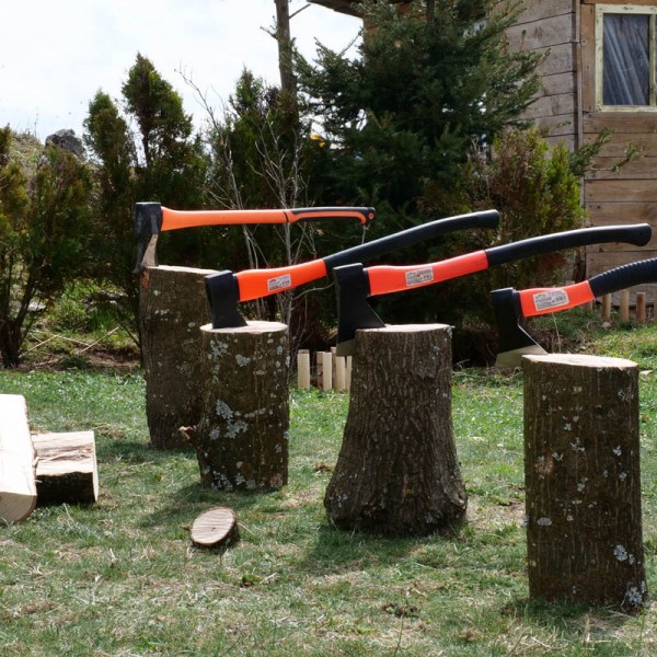 AXES