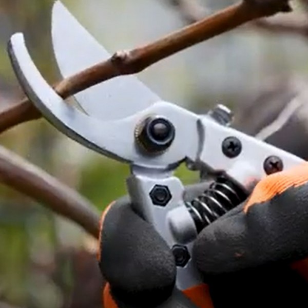 PRUNING SHEARS