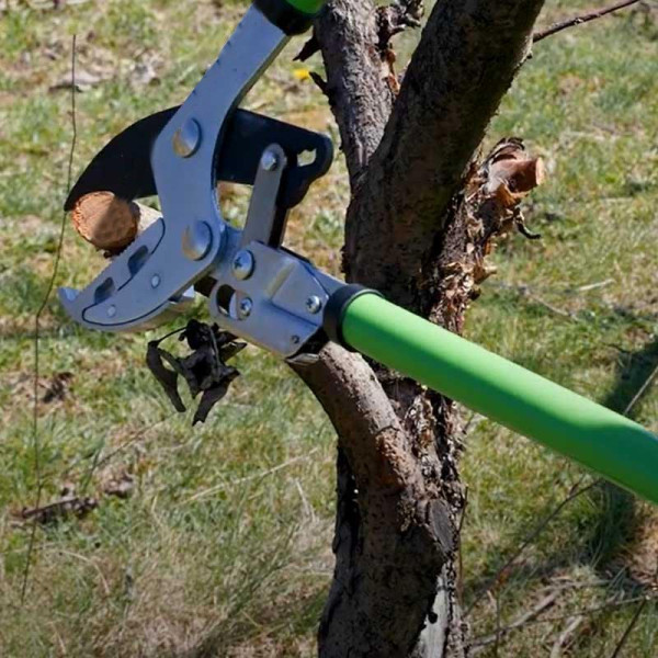 LOPPING SHEARS