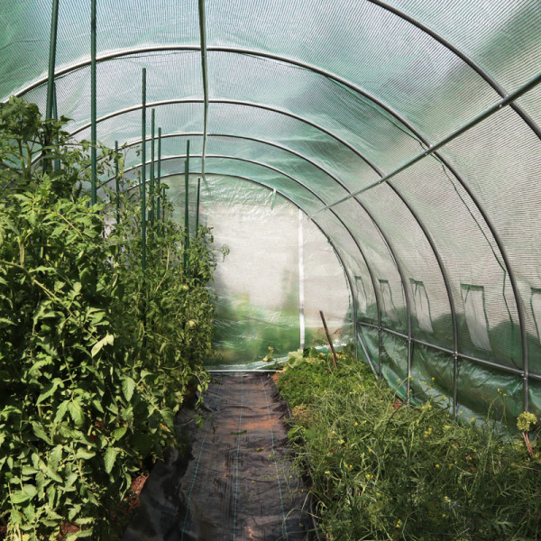 GREEN HOUSES