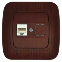 DATA SOCKET CHERRY GOKKU