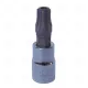 1/4 DRIVE TORX SOCKET BIT T30