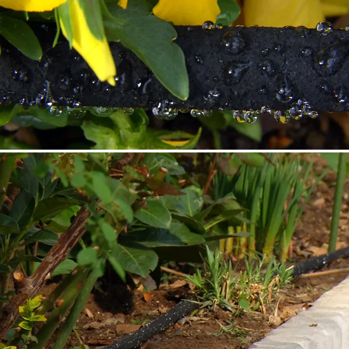 ГРАДИНСКИ СЪЛЗЯЩ МАРКУЧ 15М