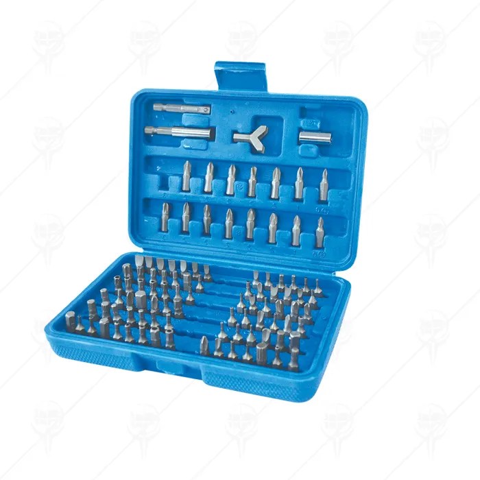 BITS SET 1/4 100PCS PREMIUM