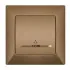 ILLUMINATED CONTROL SWITCH GOLD
ANURA