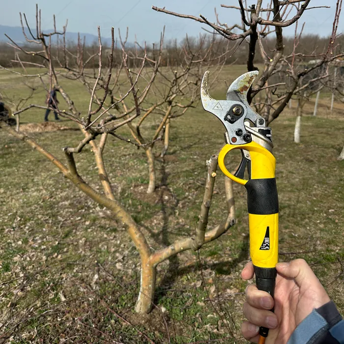 ELECTRIC PRUNING SHEARS 36V 5.2Ah BRUSHLESS RTRMAX
