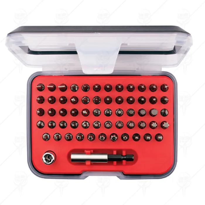 61 PIECE PROFESSIONAL BITS SET CF
