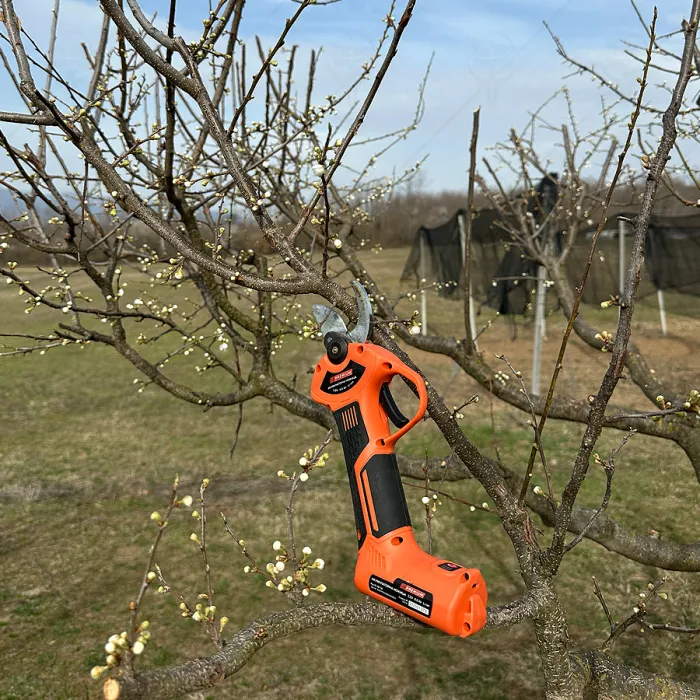 RECHARGEABLE GARDEN SHEARS PREMIUM