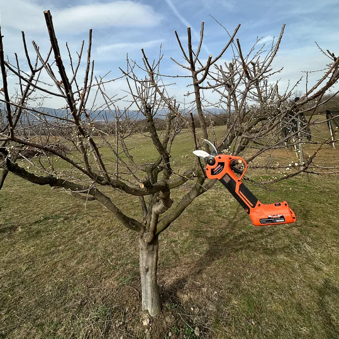 RECHARGEABLE GARDEN SHEARS PREMIUM