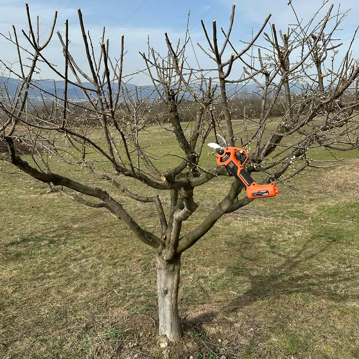 RECHARGEABLE GARDEN SHEARS PREMIUM