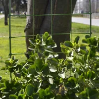 SUPPORT FOR PLANTS H90 HERLY