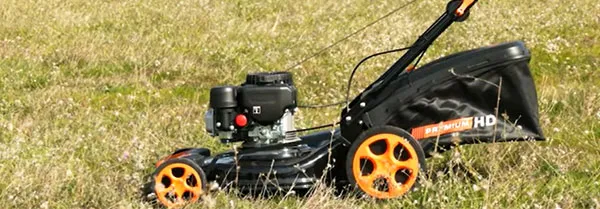 КОСАЧКИ КОЛИЧКИ