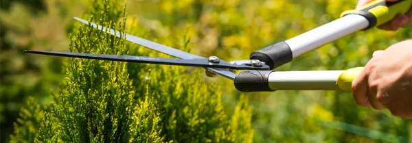 НОЖИЦИ ЗА ХРАСТИ