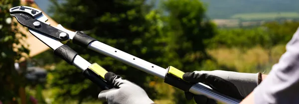 НОЖИЦИ ЗА КЛОНИ