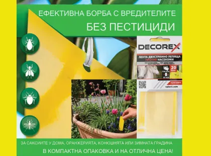 Кога и къде да използваме лента за насекоми в оранжерия?