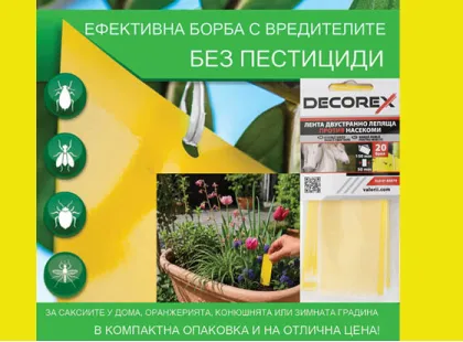 Кога и къде да използваме лента за насекоми в оранжерия?