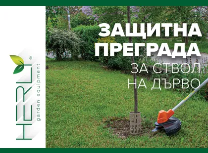 ПРЕГРАДА ЗАЩИТНА ЗА СТВОЛ НА ДЪРВО - 2 броя