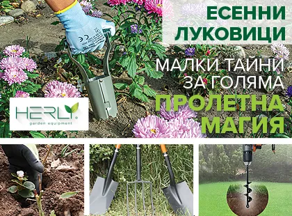 Есенни луковици – малки тайни за голяма пролетна магия