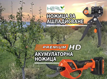 Лятна резитба и присаждане – мисията възможна