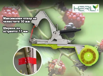 Кой е най-ефективния начин за привързване на вашите растения и лозя