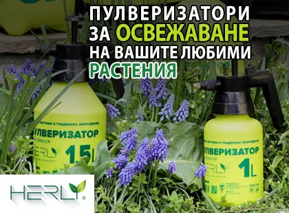 Как да се грижим оптимално за растенията си с помощта на пулверизатор