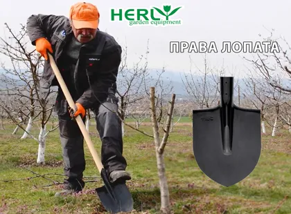 Защо правата лопата е задължителен инструмент за всяка градина Защо правата лопата е задължителен инструмент за всяка градина