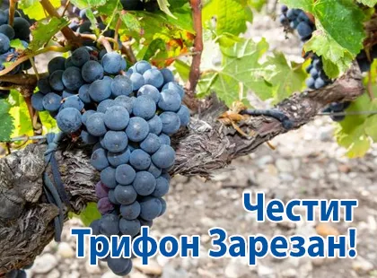 Честит Трифон Зарезан!