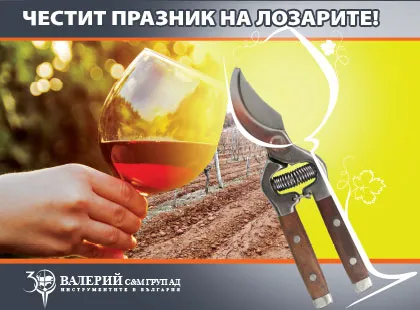 Happy vineyard day!