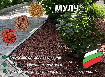 Мулч за вашата градина и растения