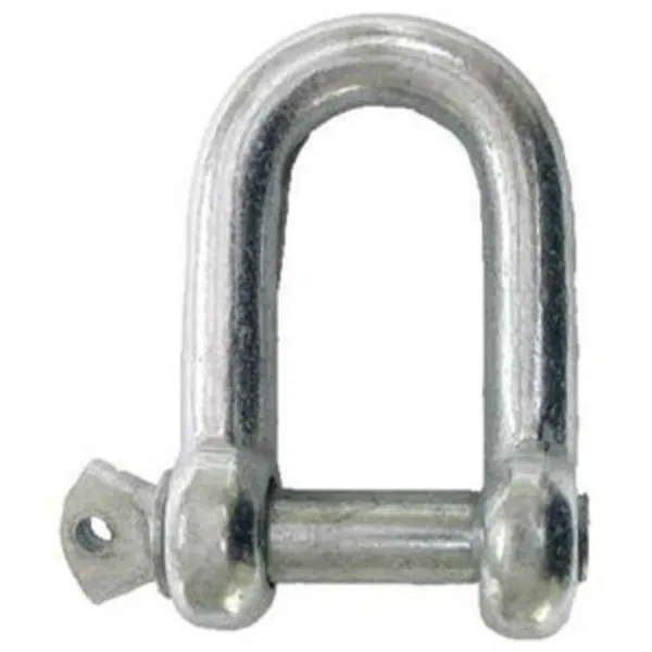 CLIPS SHEGEL