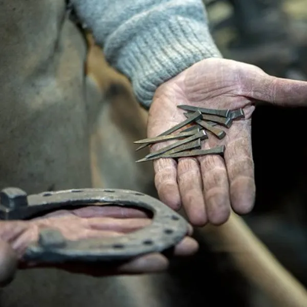 NAILS AND HORSESHOES