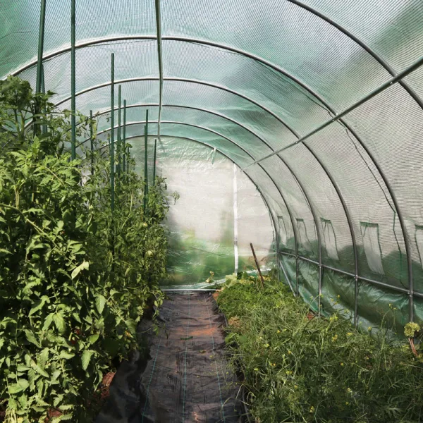 GREEN HOUSES